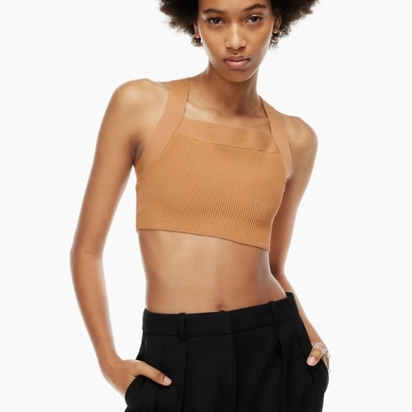 Aritzia Tops - Babaton Breslin Sculpt Knit Tank